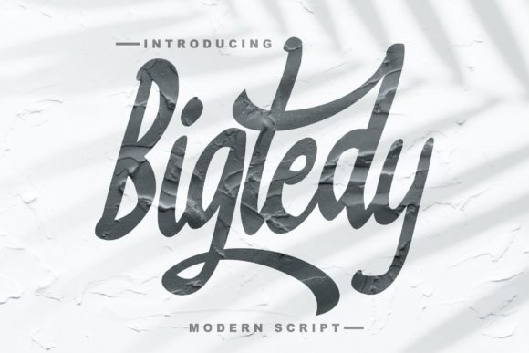 Bigtedy Script: A Timeless Handwritten Font for Web Design