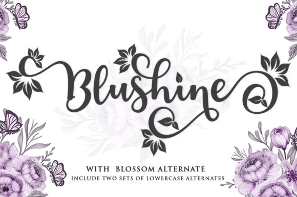 Blushine Script: A Font for Professional Branding