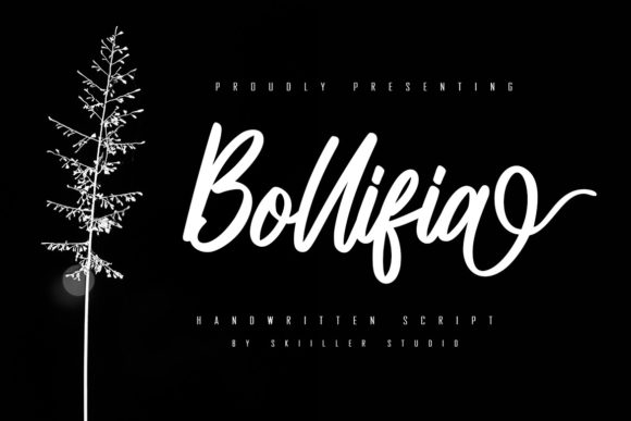 Bollifia Script: A Designer’s Review of This Elegant Typeface