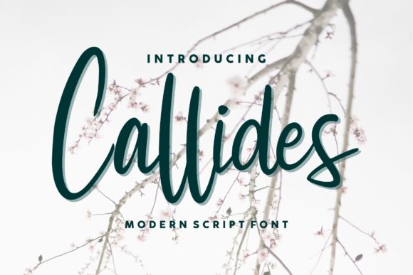 Callides Script: A Romantic Typeface for Campaigns