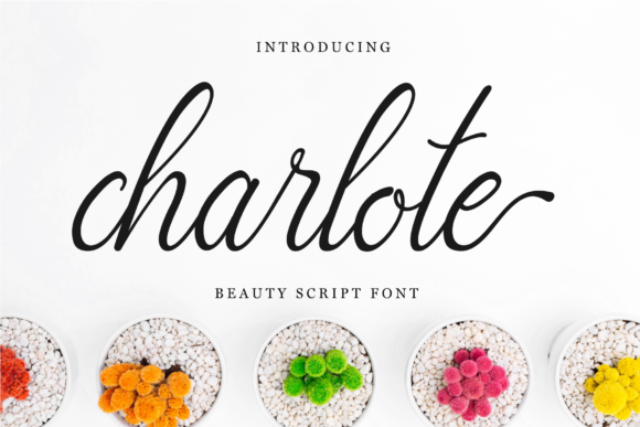Charlote Script: A Delicate Typeface for Modern Campaigns