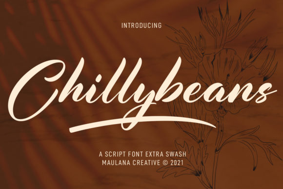 Chillybeans Script: A Typeface for Clear Campaigns