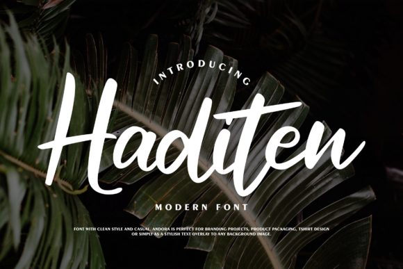Haditen Script: A Confident Font for Branding