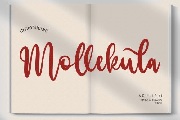 Mollekula Script: A Handwritten Font for Branding